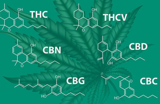 🔬 Les molécules du chanvre : CBD, CBN, H4CBD, CMP… On t’explique tout simplement