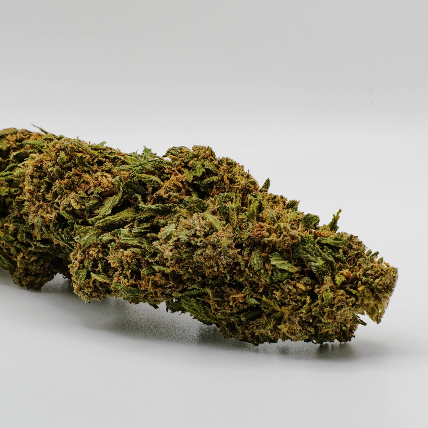 Alpine CMP 5,4%